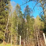 Zlatorudna *