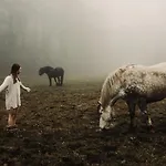 Βίλα Zlatorudna *
