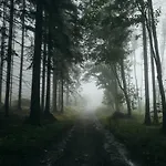 Zlatorudna Βίλα *