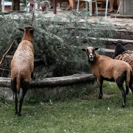Zlatorudna * Bruntál