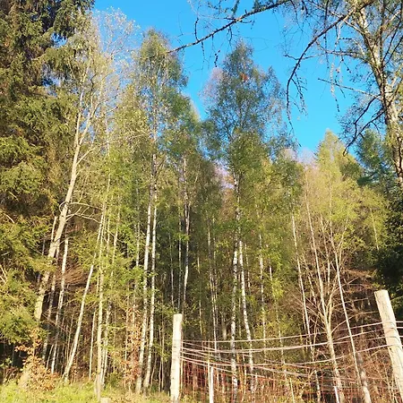 Zlatorudna *