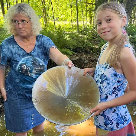 Zlatorudna *