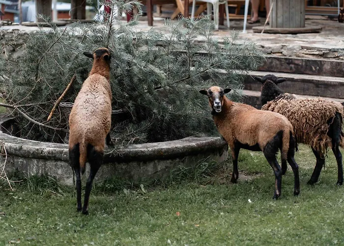 Zlatorudna * Bruntál