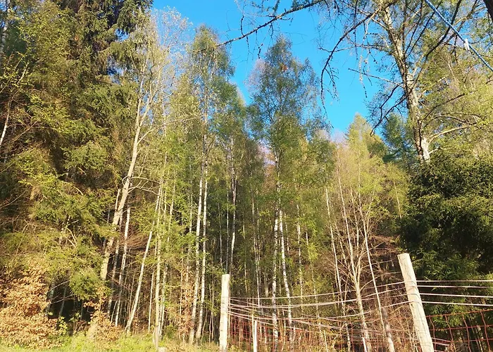 Zlatorudna *